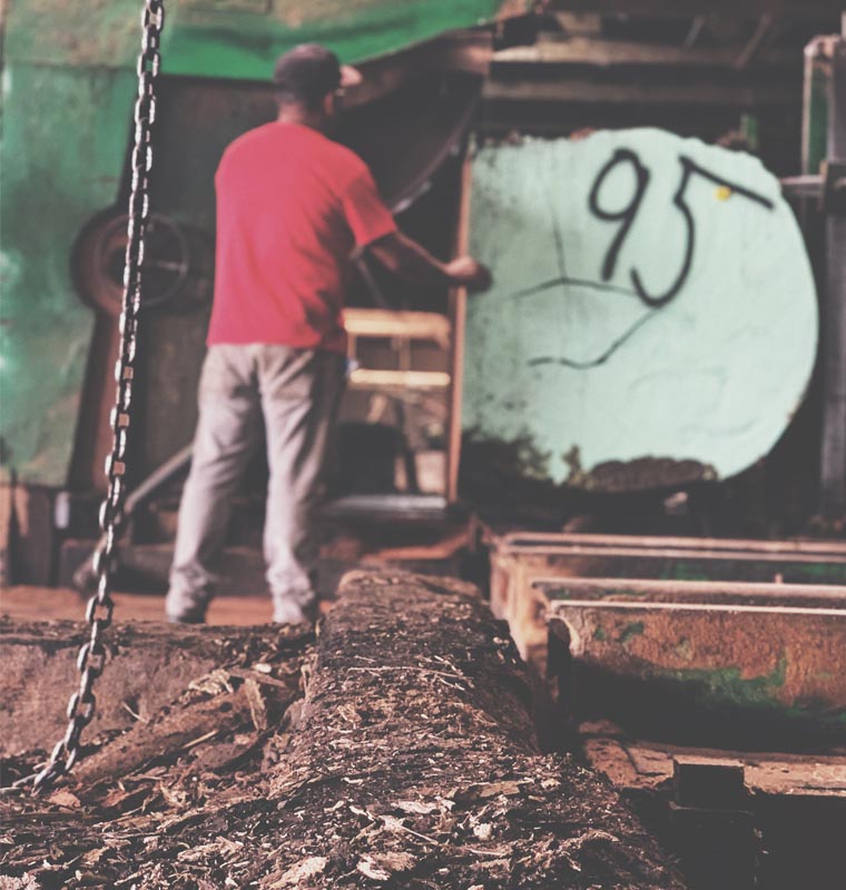 Understanding Exotic Wood Prices: A Comprehensive Guide for Your Live Edge Projects