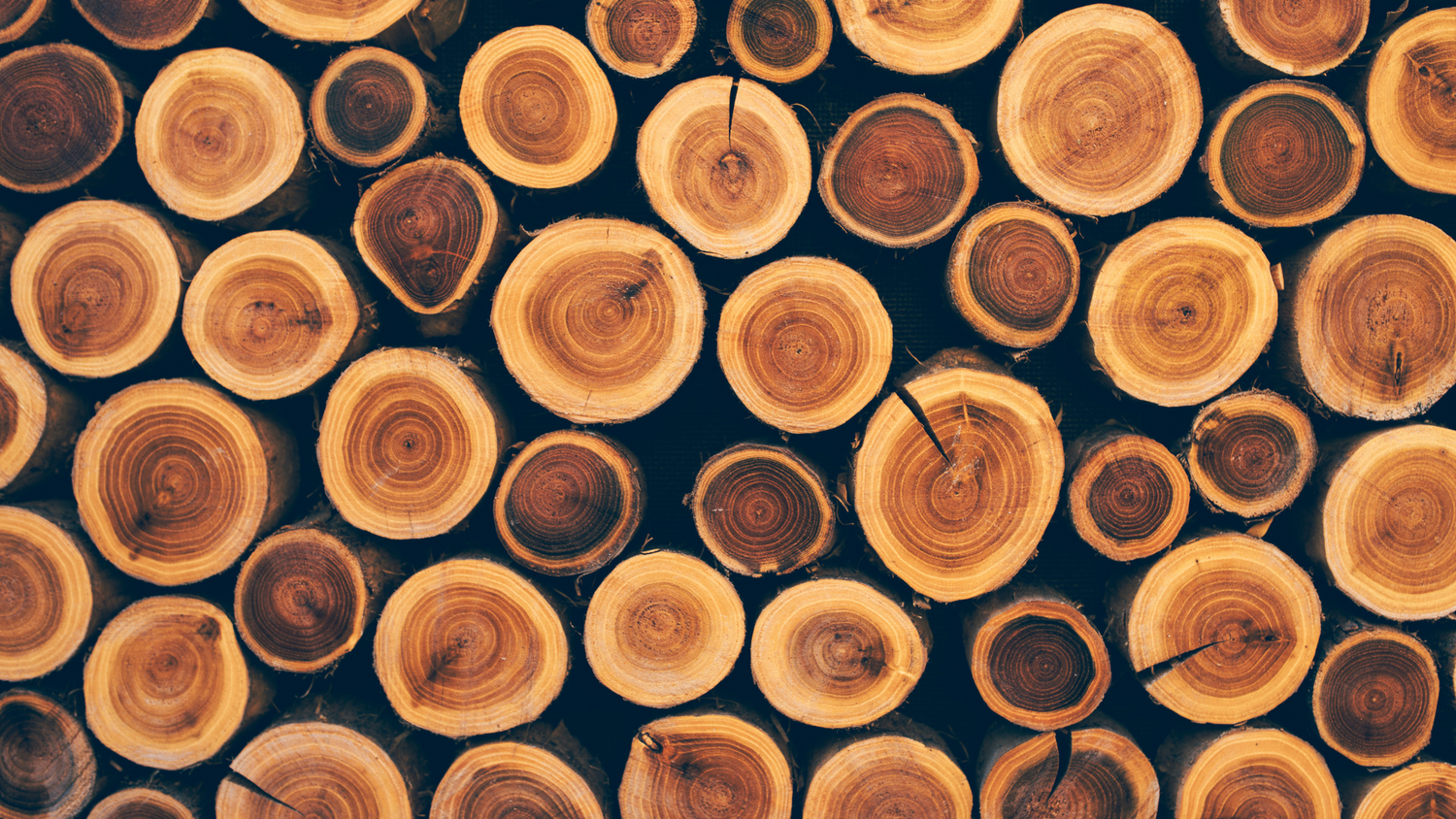 Exploring the Beauty of Costa Rican Monkey Wood Slabs: Tips for Buyers