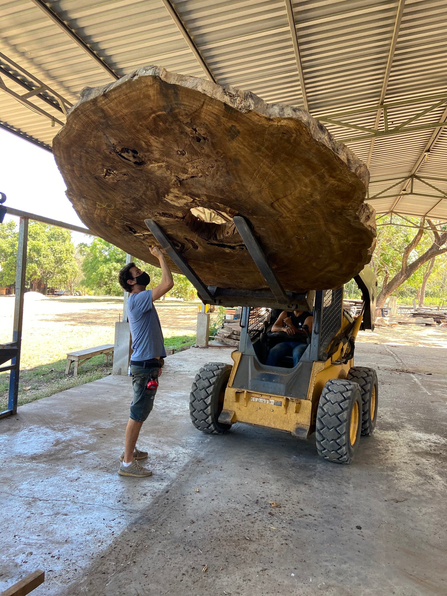 Discover the Beauty, Benefits, and Sustainability of Live Edge Lumber with Monkey Pod