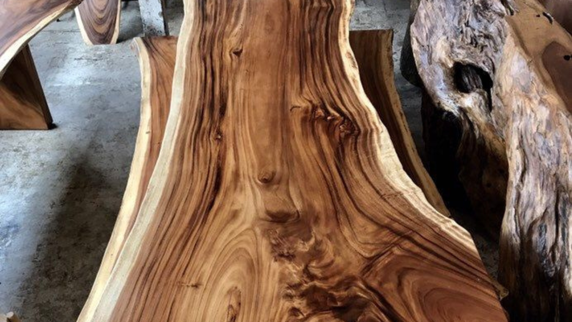 The Ultimate Guide to Choosing the Perfect Parota Wood Slab for Your Project