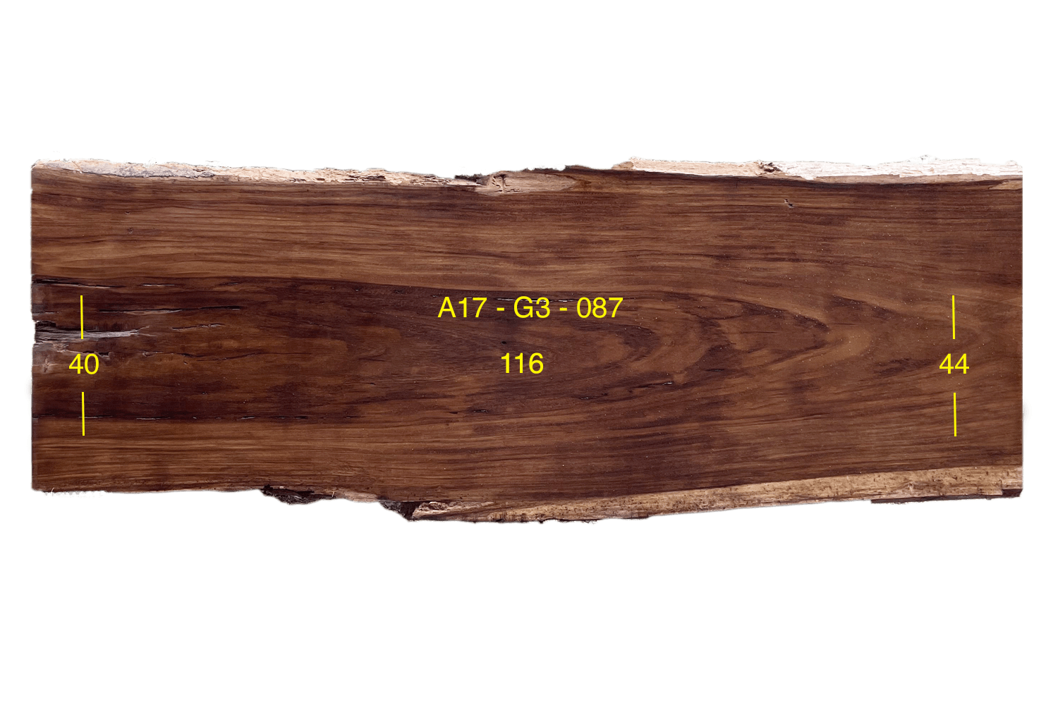 Costa Rica Mill Parota