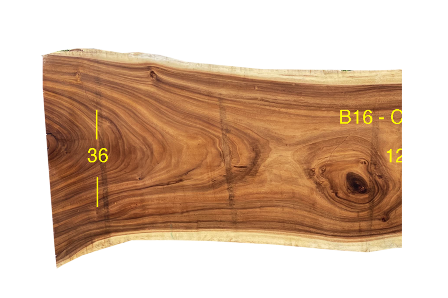B16-C3-063-02-0424