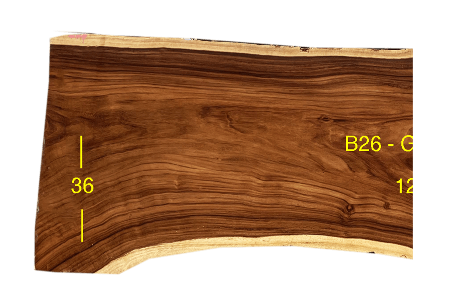 B26-G3-118-02-0424
