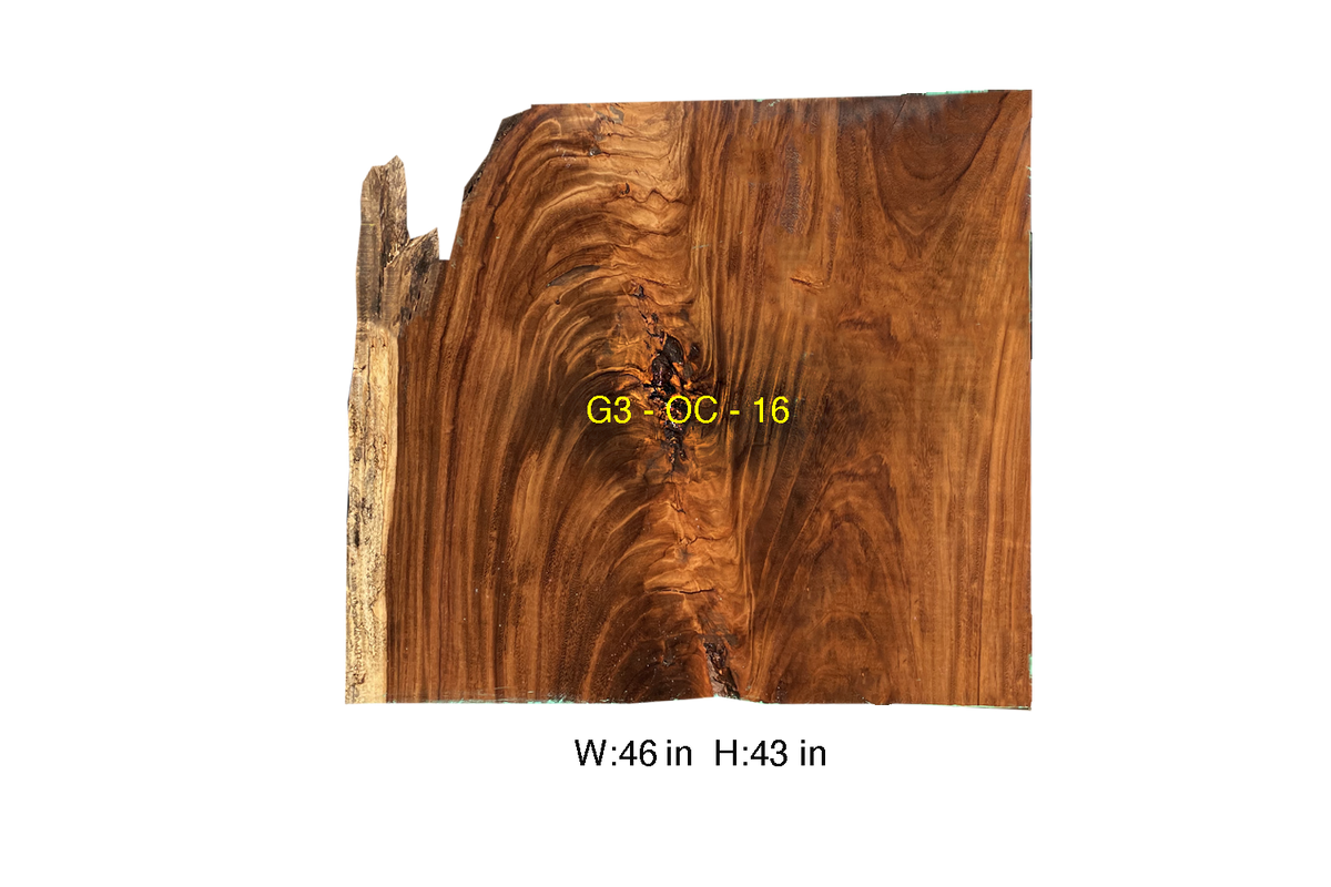 Parota (Guanacaste) Wood Off-Cut 43 x 46 x 3 in | G3-OC-S2-016