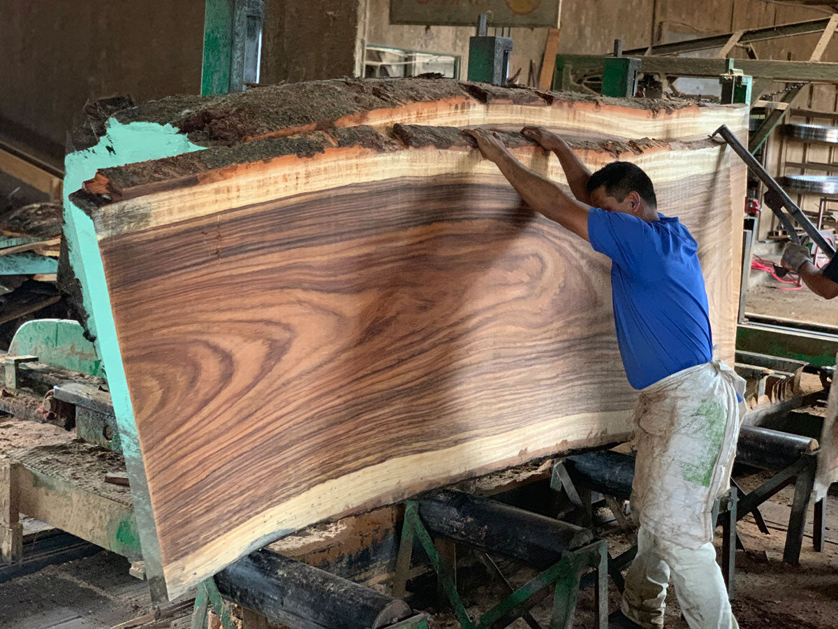 Parota slab Costa Rica Mill