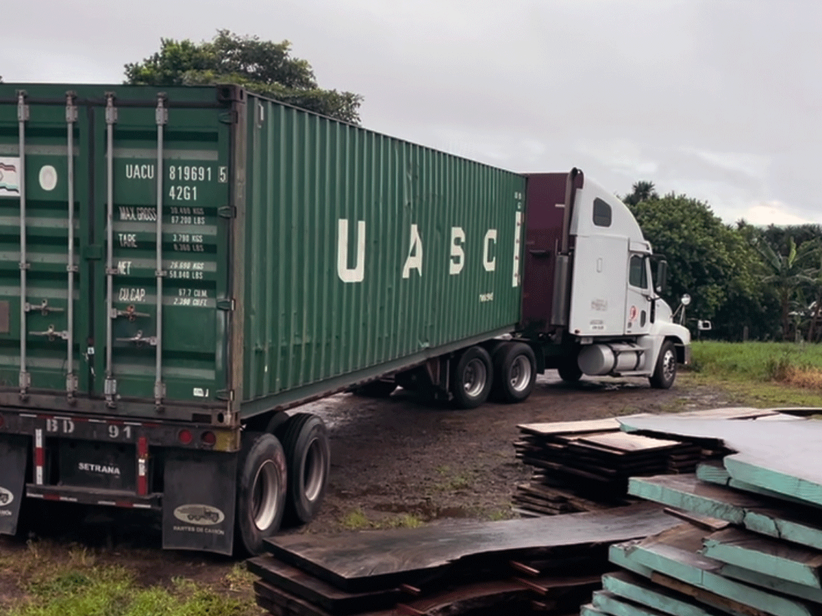 Container to the USA single slabs of monkey pod and Parota Costa Rica mIll