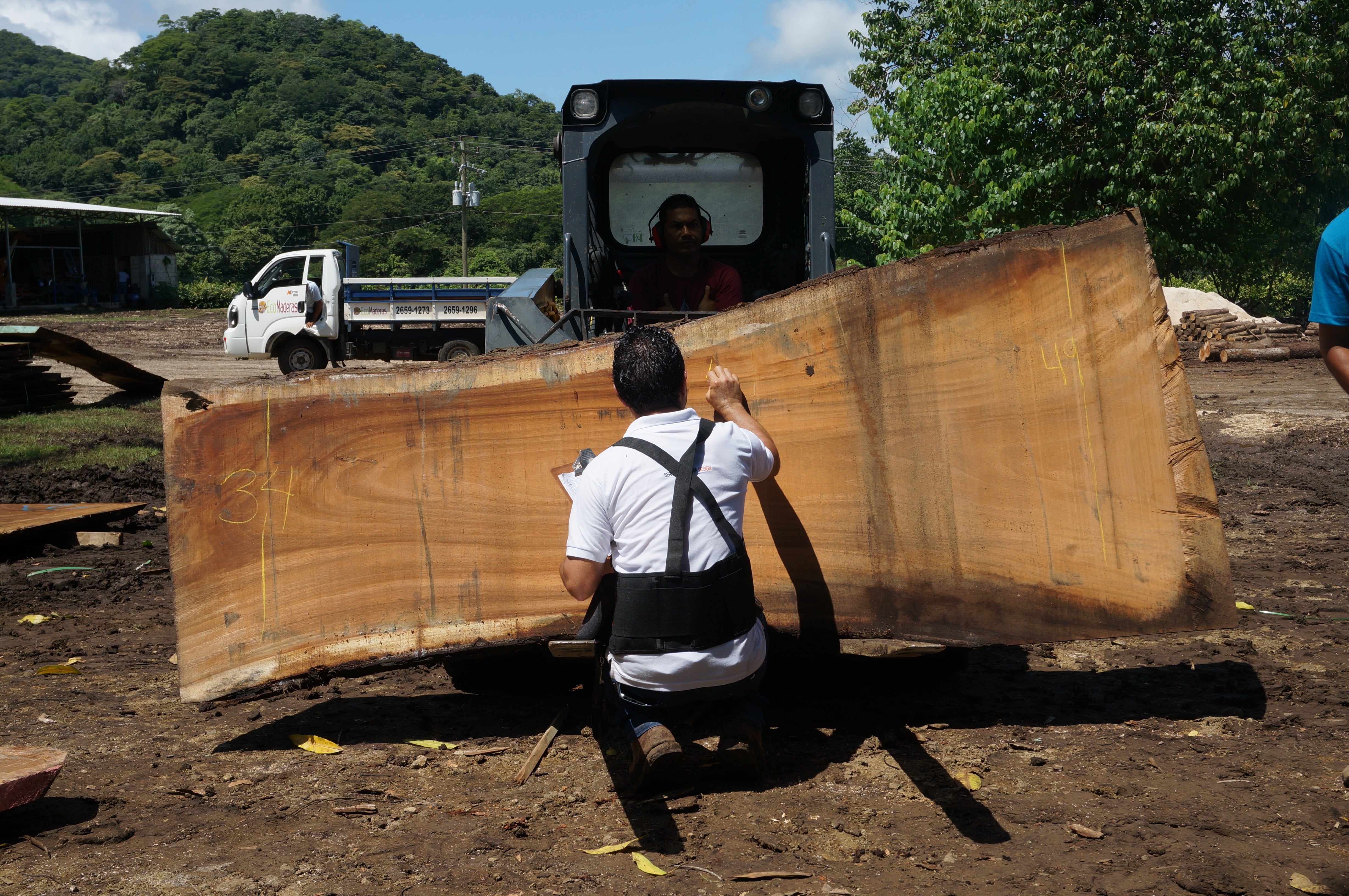 Finding the Best Live Edge Planks Near Me: Premium Monkey Pod Selection at Costa Rica Mill